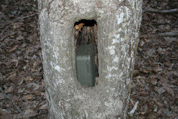 Geocache