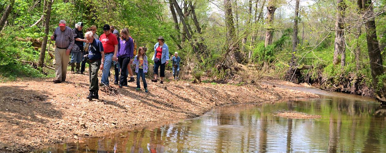 Hiking in the Kentucky Lake area