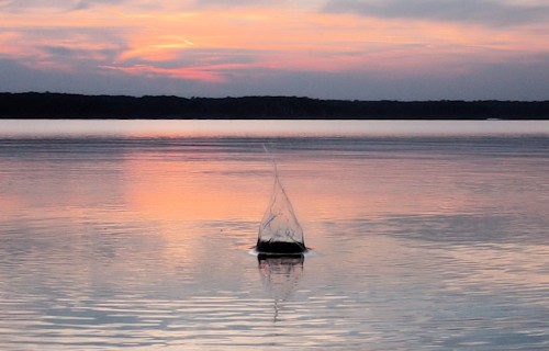 Kentucky Lake Sunset