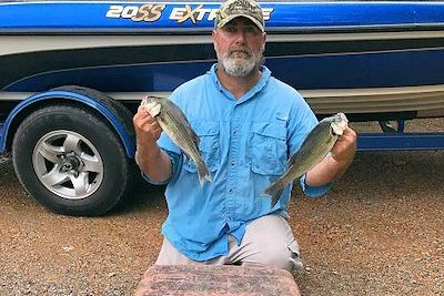 Eric Ashley Talks Panfish in His Latest Kentucky Lake Fishing Report
