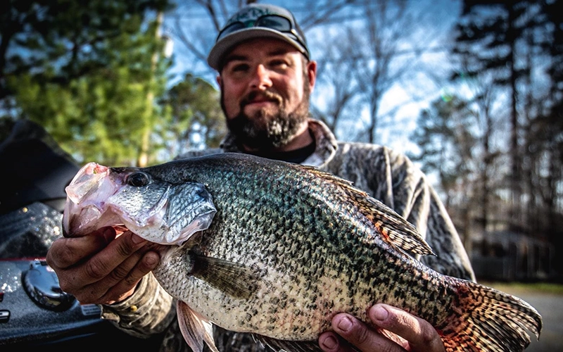 Cedar Ridge Guide Service