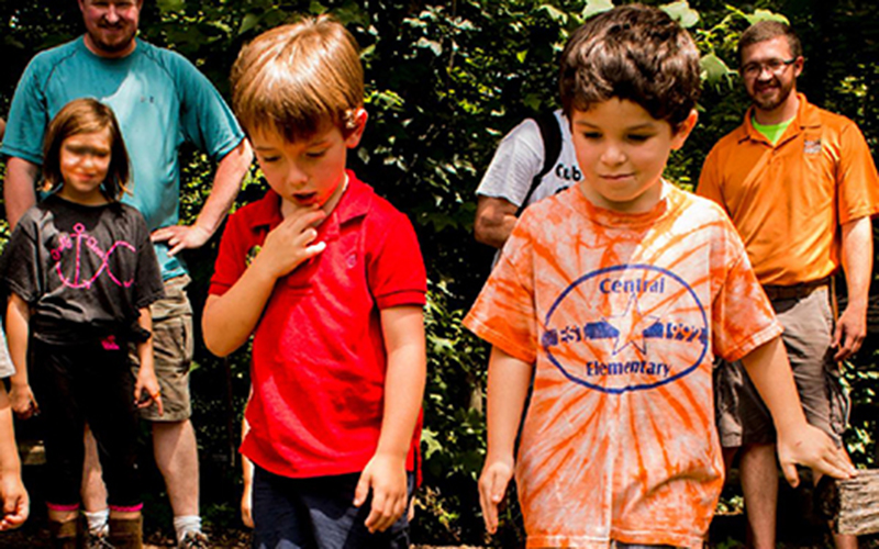 Cool Critters Day Approaches at the Woodlands Nature Station