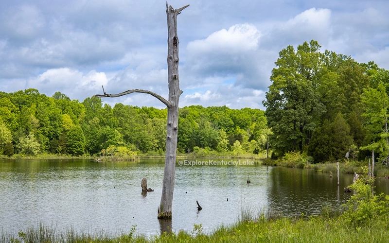 Seasonal Wildlife Refuges