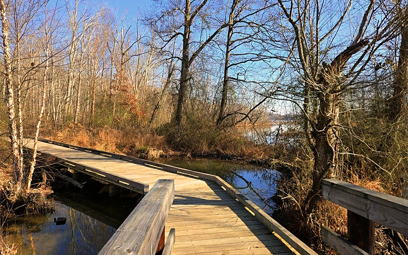 A New Year's Day Walk Around Hematite Lake