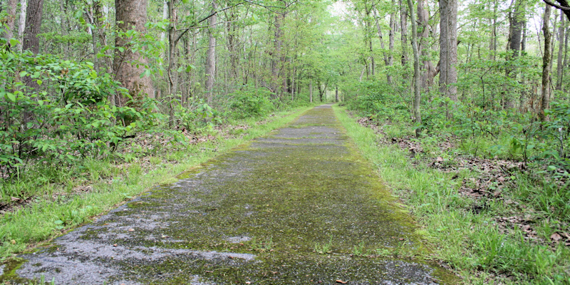 Hiking Kentucky Lake