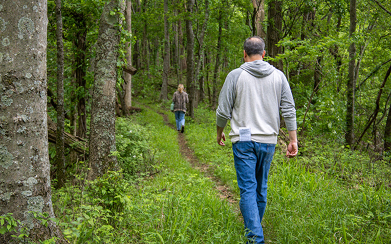 Lakin' It - Hillman Heritage Trail