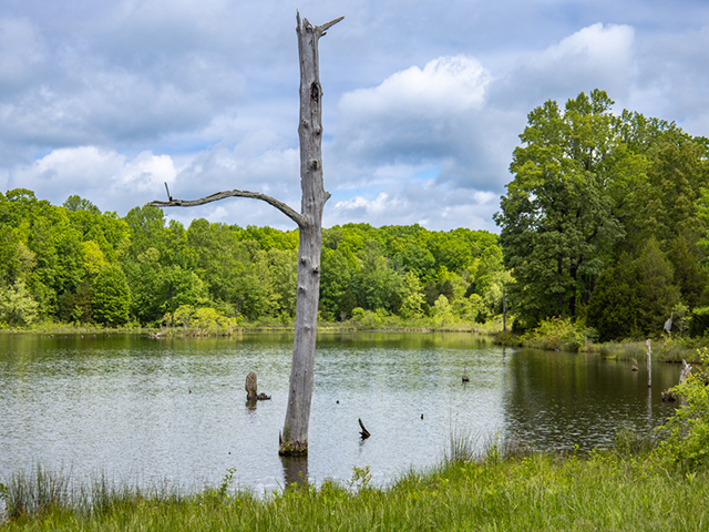 Visiting Duncan Lake, An LBL Wildlife Refuge