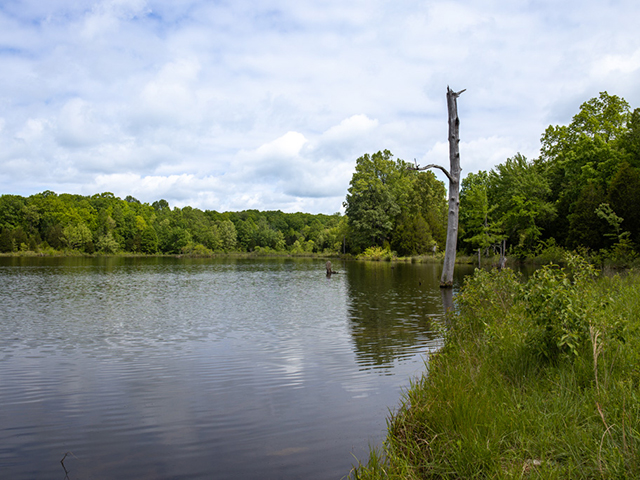 Visiting Duncan Lake, An LBL Wildlife Refuge