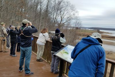 3rd Annual Wings of Winter Birding Festival set for January 24-26
