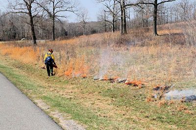 Forest Service Officials Plan Seasonal Prescribed Burns at Land Between the Lakes