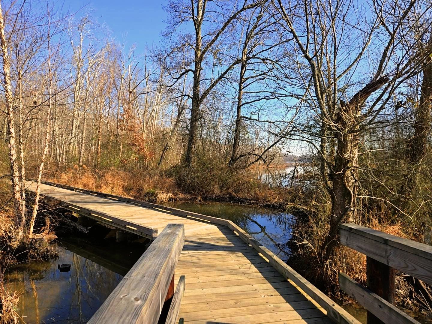 A New Year’s Day Walk Around Hematite Lake