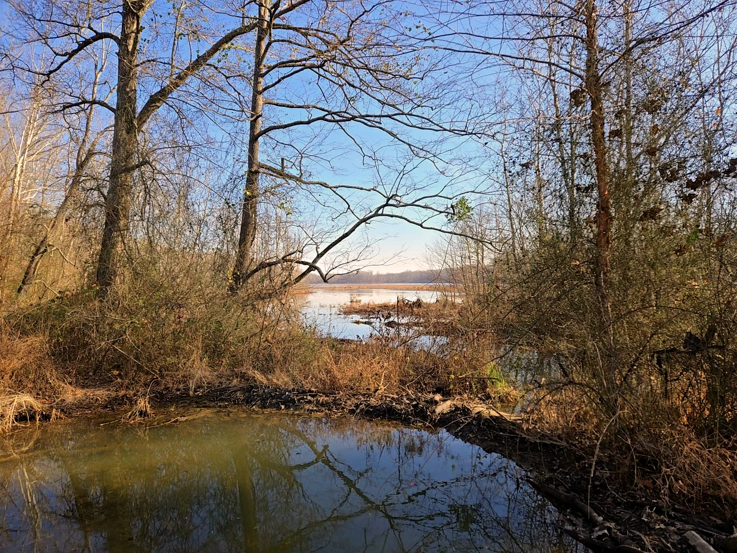 A New Year’s Day Walk Around Hematite Lake
