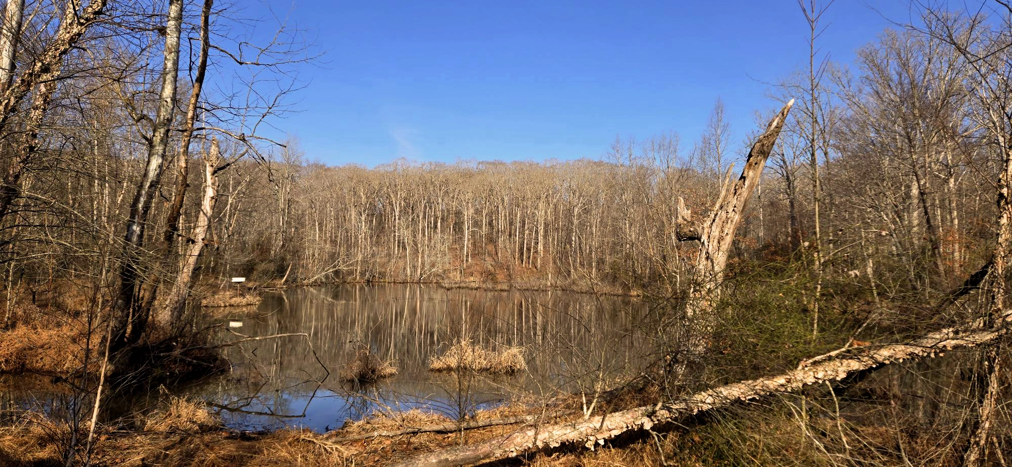 A New Year’s Day Walk Around Hematite Lake
