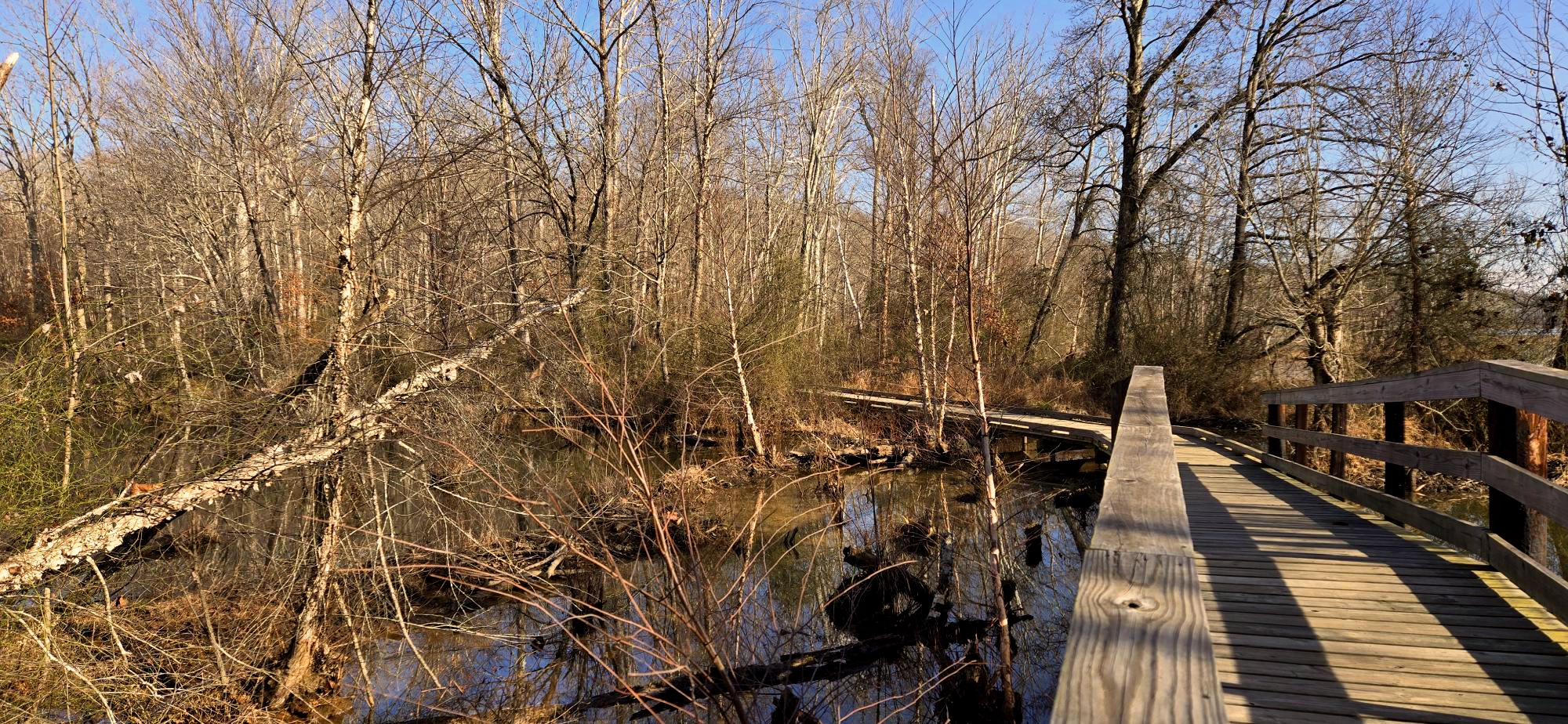 A New Year’s Day Walk Around Hematite Lake