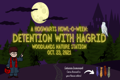 Celebrate the Wizarding World of Harry Potter this Howl-o-Ween at the Woodlands Nature Station