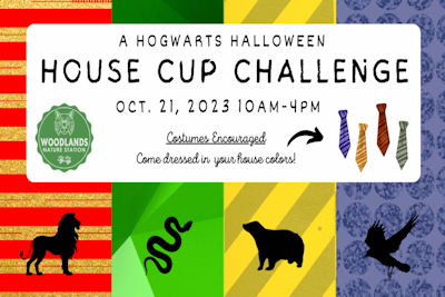 Hogwarts Halloween:  House Cup Challenge