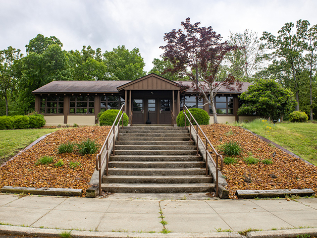 My Walk Through Cherokee Park