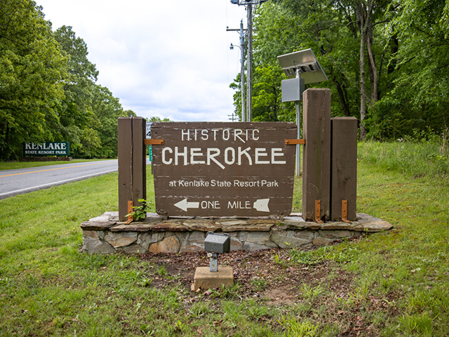 My Walk Through Cherokee Park