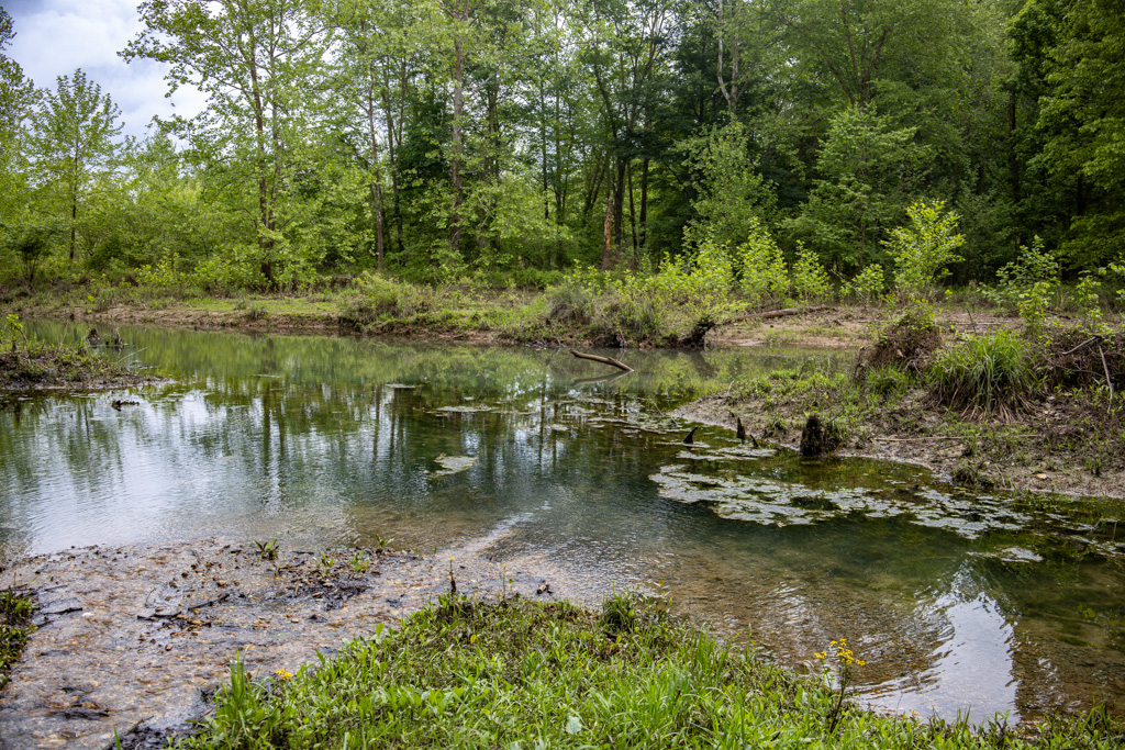 Exploring Ferguson Springs in LBL