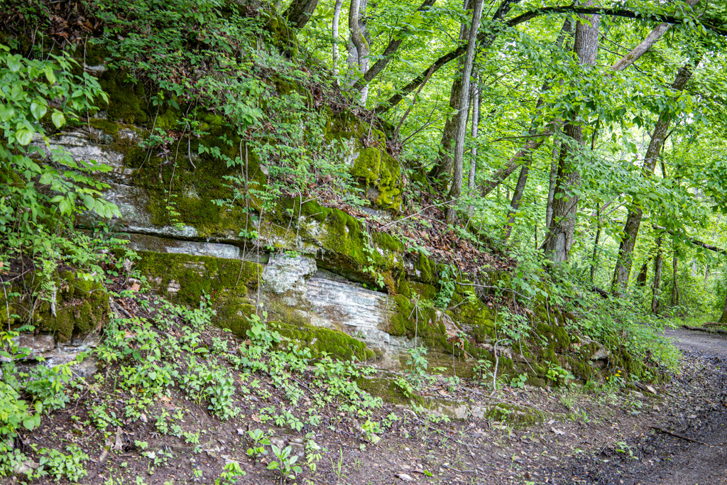 Exploring Ferguson Springs in LBL