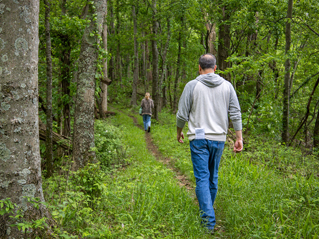 Hiking the Hillman Heritage Trail