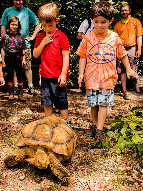 Cool Critters Day Approaches at the Woodlands Nature Station