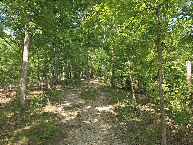 Finding Time for a Quick Escape: The North Canal Loop Trail