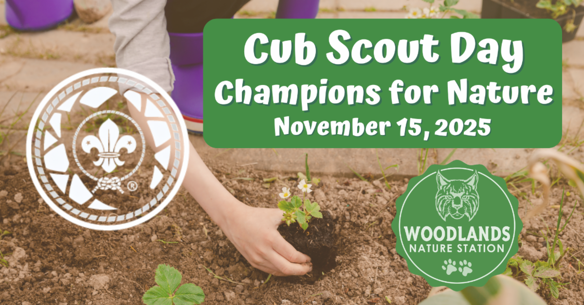 Woodlands Nature Station to Host Cub Scout Day on November 15th