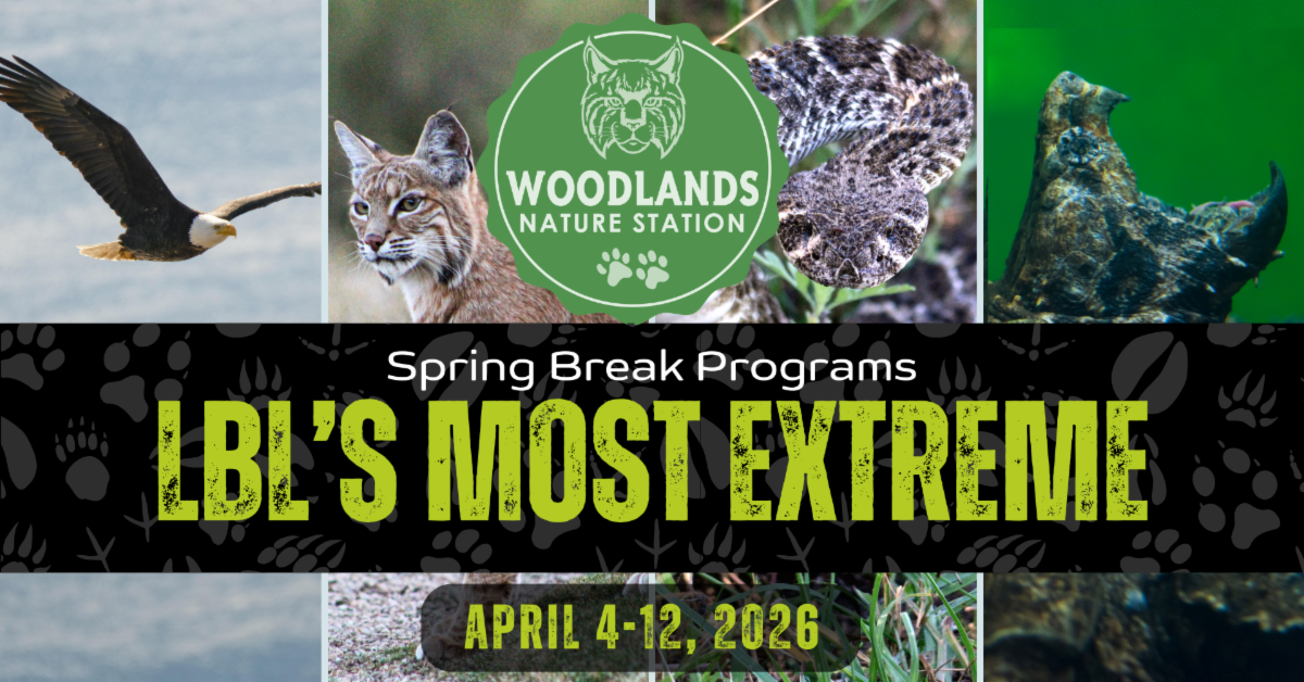 Woodlands Nature Station Spring Break: LBL's Most Extreme Animals