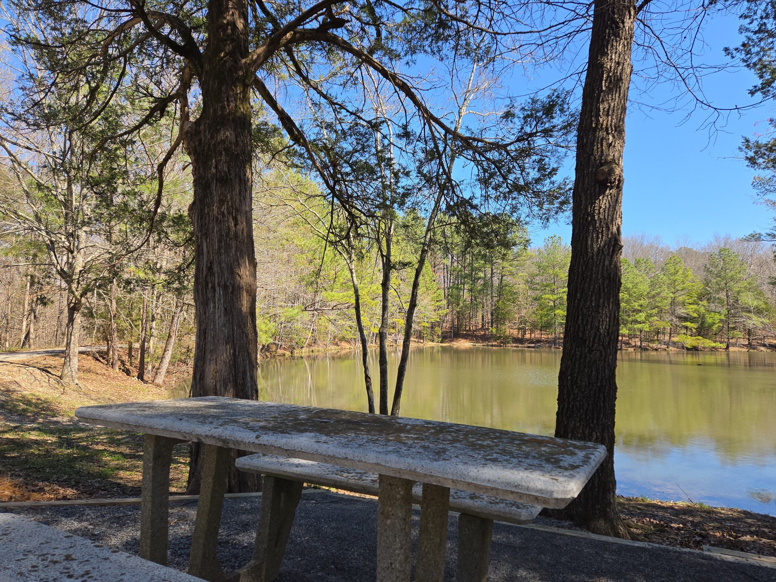 A Peaceful Pause at Cedar Pond