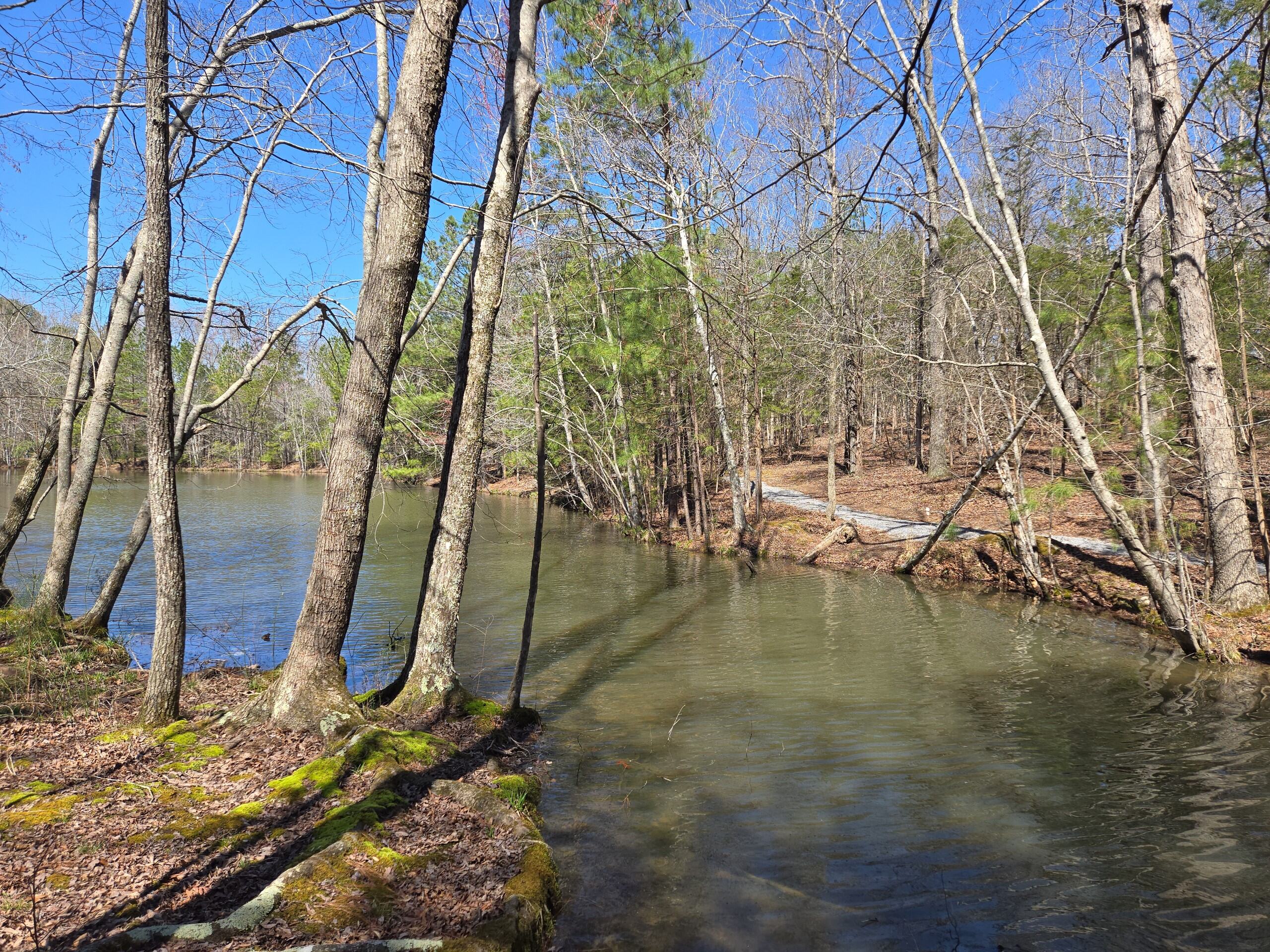 A Peaceful Pause at Cedar Pond