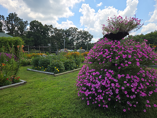 Discovering a Hidden Oasis: Kentucky Dam State Park's Sustainability Garden