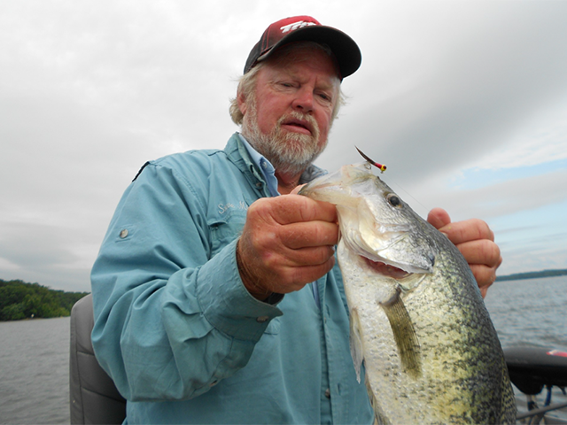 Steve McCadams' Photo