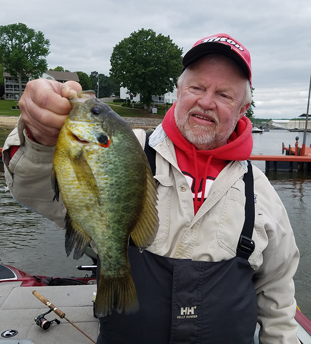 Steve McCadams' Photo