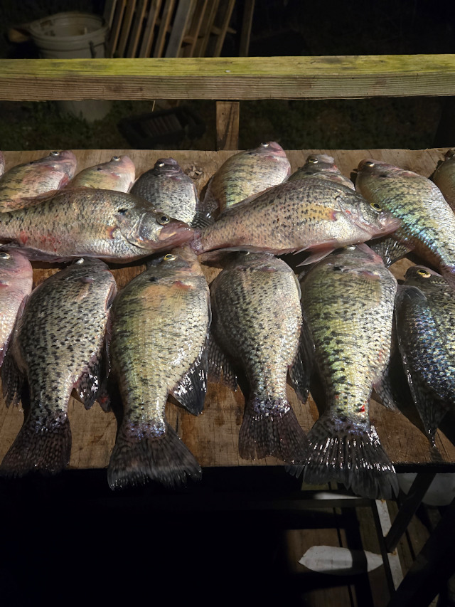 Scott McGlinchey's Photo