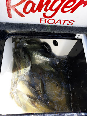 John Morgan's Photo