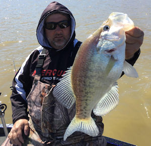 John Morgan's Photo