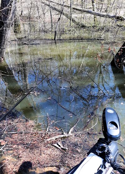 John Morgan's Photo