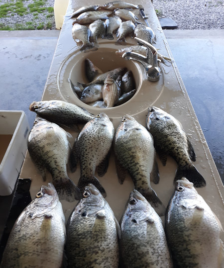 John Morgan's Photo