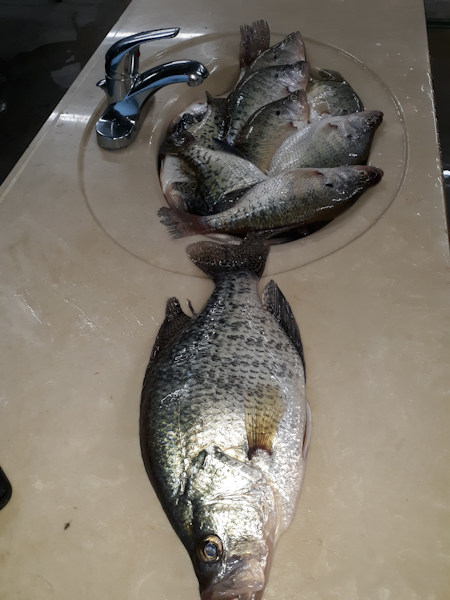 John Morgan's Photo